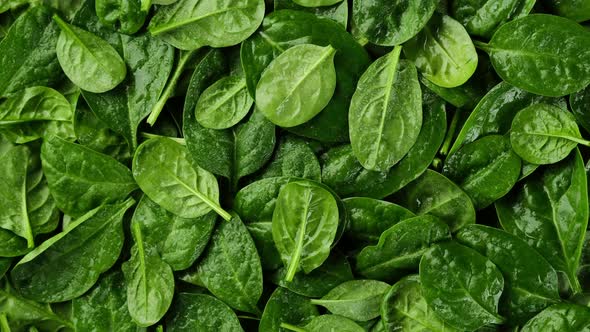 fresh spinach leaves top view. baby spinach. healthy food lifestyle