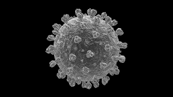 Coronavirus Covid 19 Cell