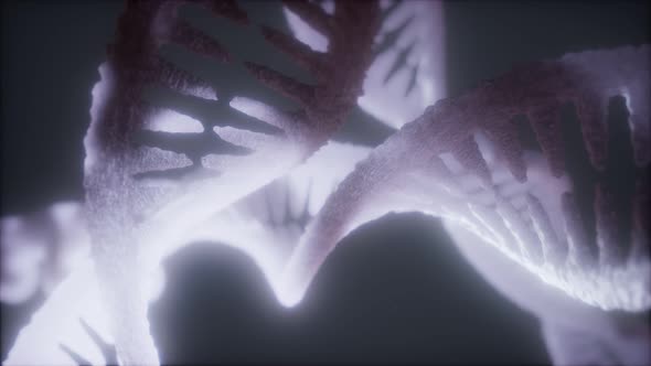 Loop Double Helical Structure of Dna Strand Closeup Animation alt