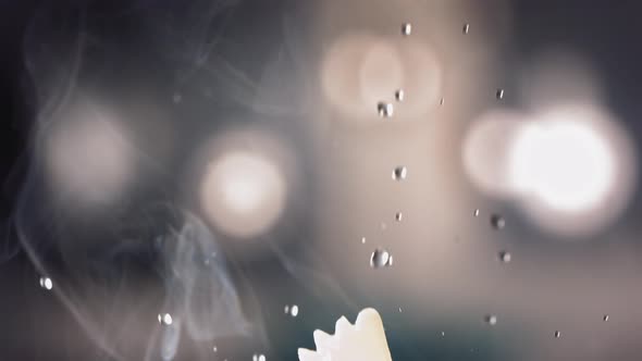 Pasta Farfalle is Flying Up on a Kitchen Bokeh Background