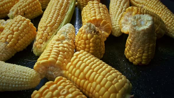 Fresh Raw Sweet Corn Cobs on Black Background Rotating Close Up