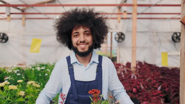 Fortunate Attractive Latin American Garden Employee Carry Box with Blooming Plants Looking in Camera