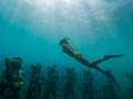Freediving Girl swims over Underwater sculptures gili Meno, Southeast Asia - PhotoDune Item for Sale