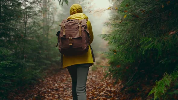 Slow Motion Camera Follows Woman Hiker in Yellow Raincoat with Backpack