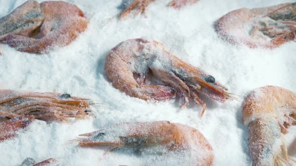 Lots Of Prawns Packed In Ice
