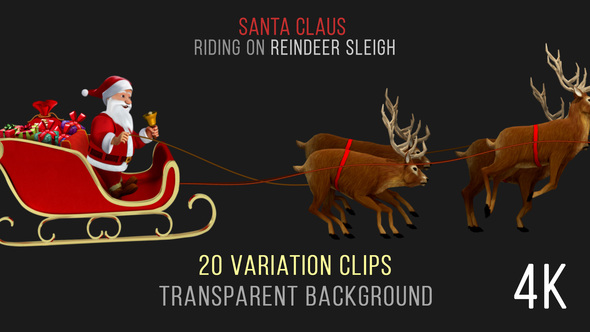 Santa Claus Riding Reindeer Sleigh - 20 Clips - 4K alt