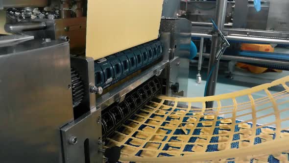 many types of high quality pasta been produced at a large modern pasta factory.