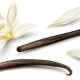 Set of Vanilla Flower Dried Sticks Food Ingredient Vector - GraphicRiver Item for Sale
