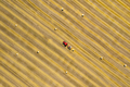 Aerial view of haymaking processed into round bales. Red tractor works in the field. - PhotoDune Item for Sale