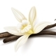 Vanilla Flower Dried Sticks Realistic Food Ingredient Vector - GraphicRiver Item for Sale