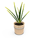 Houseplants - 3DOcean Item for Sale