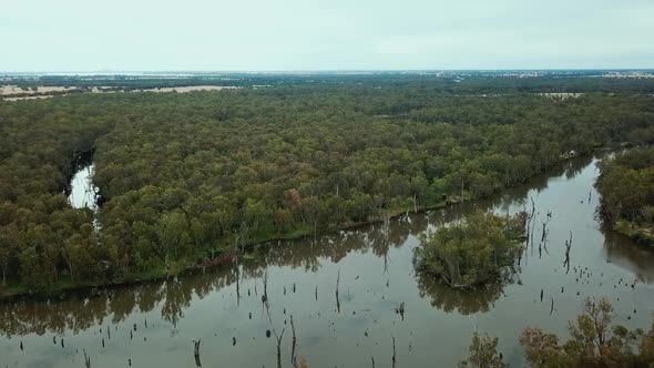 Drone footage of the meandering Ovens River and eucalypt floodplains where it joins the Murray River