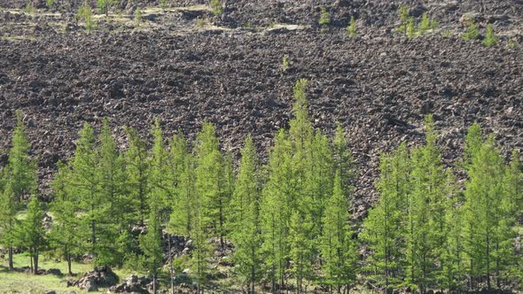 Flat Plain Covered With Solidified Lava Rocks