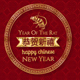 Chinese New Year Opener - VideoHive Item for Sale