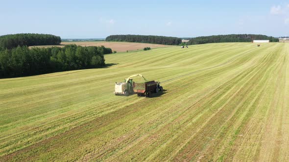 Combines Collect Mown Grass For Animal Feed In A Rural Field