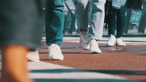 Legs of Crowd People Walking on the Street Closeup of People Feet Slow Motion