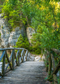 Wooden bridge and stones on the background of green trees - PhotoDune Item for Sale