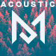 Happy Acoustic
