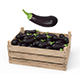 Aubergine Box - 3DOcean Item for Sale