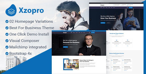 Xzopro – Finance And Business WordPress Theme