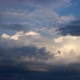 Birds Against Cloudy Evening Sky - VideoHive Item for Sale