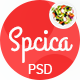 Spcica - Recipes & Food PSD Template - ThemeForest Item for Sale