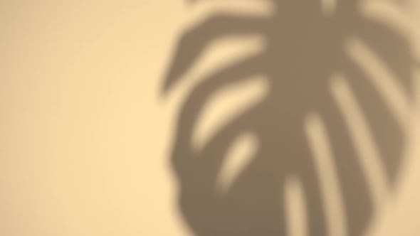 Shadow Tropical Background