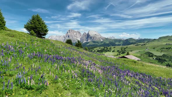 Beautiful summer day in the Dolomites mountains