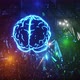 Digital brain background | Brain Rotating - VideoHive Item for Sale