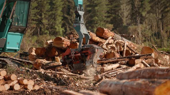 Processing logs with machine claw next to wood stock pile, clearcutting logging industry