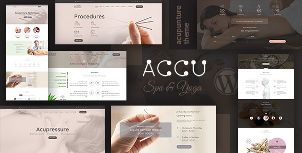 Accu – Healthcare, Massage WordPress Theme