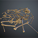 Skulls1 Normal Bones - 3DOcean Item for Sale