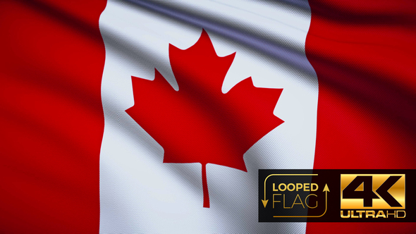 Flag 4K Canada On Realistic Looping Animation With Highly Detailed Fabric