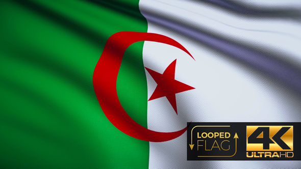 Flag 4K Algeria On Realistic Looping Animation With Highly Detailed Fabric