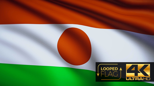 Niger Flag 4K