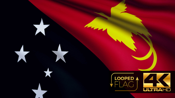 Papua New Guinea Flag 4K