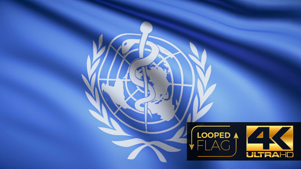 World Health Organization Flag 4K