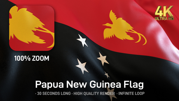 Papua New Guinea Flag - 4K