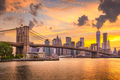 Lower Manhattan Skyline and Brooklyn Bridge - PhotoDune Item for Sale