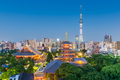 Tokyo, Japan skyline in Asakusa. - PhotoDune Item for Sale