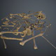 Skulls1 Old Bones - 3DOcean Item for Sale