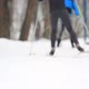 People Cross Country Skiing - VideoHive Item for Sale