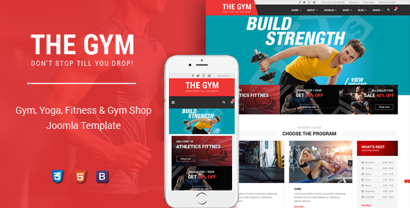 TheGym - Yoga, Fitness & Accessories Shop Joomla Template