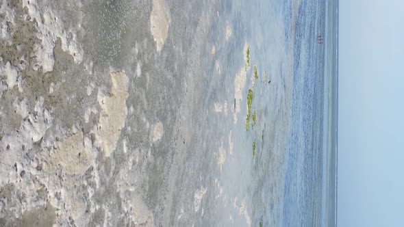 Zanzibar Tanzania  Vertical Video of Low Tide in the Ocean Near the Coast Slow Motion