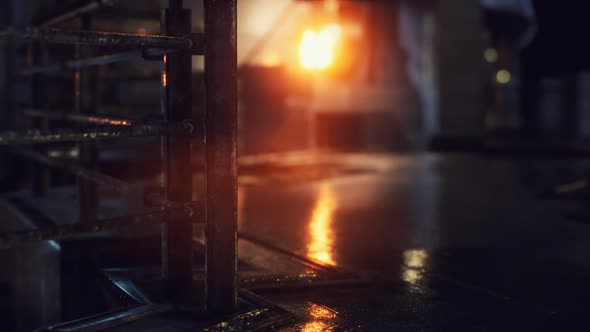 Neon Lights at Rainy Night alt