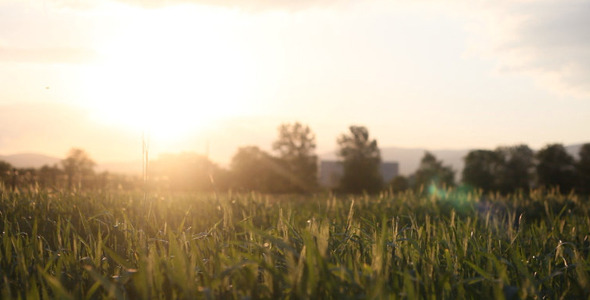 Sunset On The Field 1
