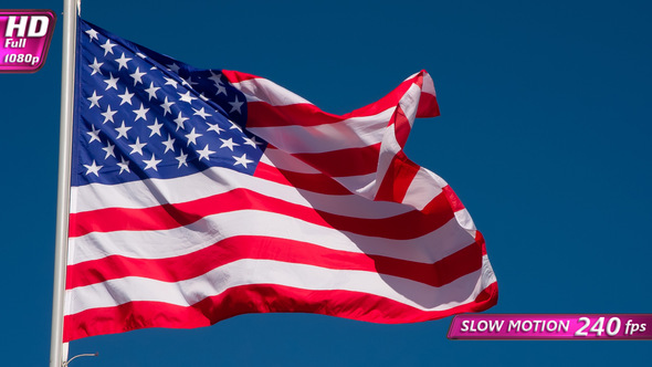 Banner Usa Wiggles The Wind alt