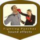 Fighting Punches