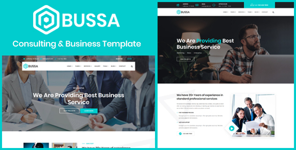 Bussa - Consulting & Business Template