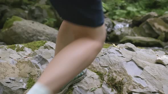 The Child Walks By the River in the Forest